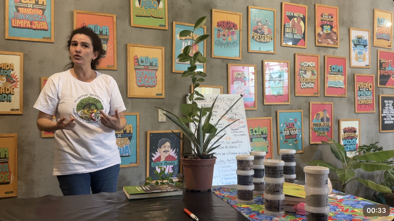🌿 Da Semente ao Sistema: O Que o Jardim Ensina Sobre Liderança Regenerativa